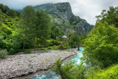 Бесплатное изображение: Лето, ландшафт, вода, дерево, природа, дерево, гора,  река