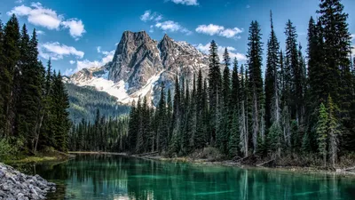 Фотографии Канада Canmore Alberta Горы Природа река траве дерева