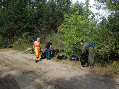 О русской природе и свободе