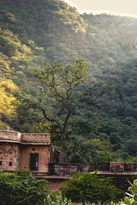 Необычная красота природы Индии | Пикабу