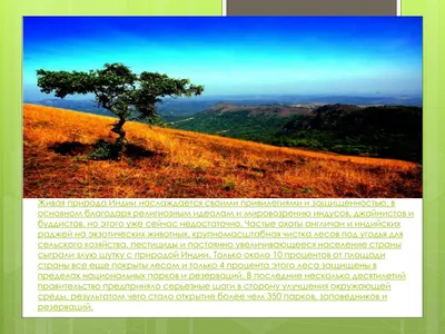 PPT - Природа Индии PowerPoint Presentation, free download - ID:5618216
