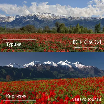 Фотографии полевой школы в дикой природе Кыргызстана — GeoExplorersClub