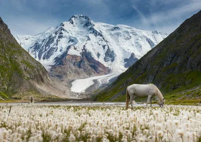 Природа Кыргызстана. :: Евгений Мезенцев – Социальная сеть ФотоКто