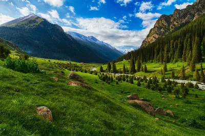 На какие уголки нашей планеты еще похожа природа Киргизии? | Пикабу
