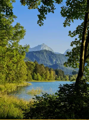 Скачать обои лес, озеро, Природа, forest, nature, Турция, lake, Turkey,  раздел пейзажи в разрешении 4288x2848