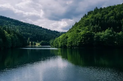 Бесплатное изображение: осень, пейзаж, река, вода, озеро, лес, природа,  дерево, на открытом воздухе, рассвет