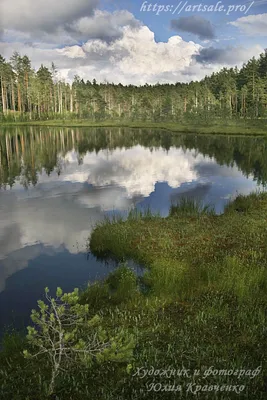 Картинки лето лес река озеро (69 фото) » Картинки и статусы про окружающий  мир вокруг