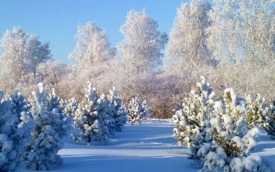 Скачать обои поле, небо, цветы, природа, ребенок, раздел природа в  разрешении 8000x5333