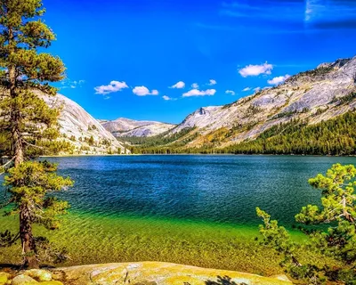 Картинка природа, пейзаж, озеро, горы, лес, лето, деревья, синий небо  1280x1024 скачать обои на рабочий стол бесплатно, фото 154850