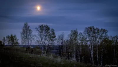 природа ночь вектор фон со звездным небом, в ночное время, черный, просто  фон картинки и Фото для бесплатной загрузки