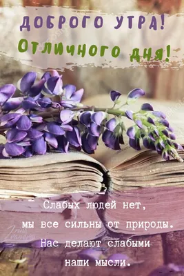 Картинки с красивой природой и пожеланием Доброго утра. | Доброе утро,  Картинки, Милые открытки