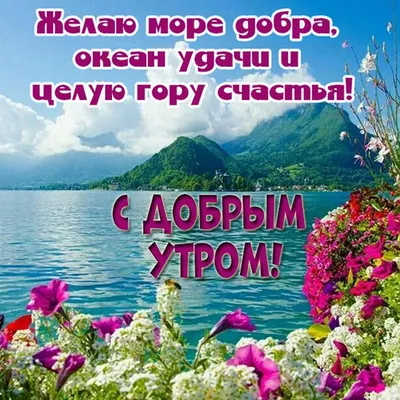 Картинки с красивой природой и пожеланием Доброго утра. | Доброе утро,  Счастливые картинки, Утренние цитаты