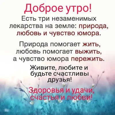 Доброе утро с природой и пожеланиями - фото и картинки: 62 штук