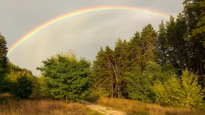 красивая радуга лето холмы река природа пейзаж иллюстрация, природа,  современный, Пейзаж фон картинки и Фото для бесплатной загрузки