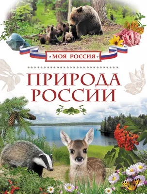 Книга "Природа России. Иллюстрированная энциклопедия" Романова Т, Свечников  В - купить книгу в интернет-магазине «Москва» ISBN: 978-5-389-16264-8,  1025905