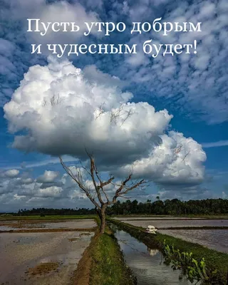 Картинки с надписью - Пусть утро добрым и чудесным будет!.