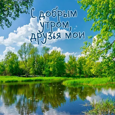 Доброе утро! ❤️Чудо природы - гроздья рябины зимой...❤️Невероятно  красиво!❤️Good morning!❤️ - YouTube