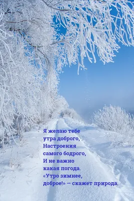 Прекрасная природа. С добрым утром !