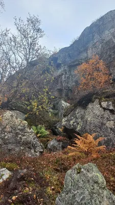 Гармония Севера. Фотограф Алексей Королёв