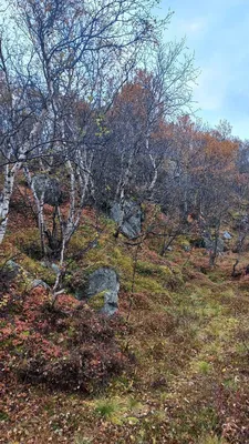 Красота севера. Фотограф Стукалова Юлия