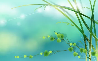 Green Path 2560 x 1600 widescreen Wallpaper