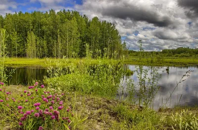 Фото просторы Сибири Зима Природа Времена года