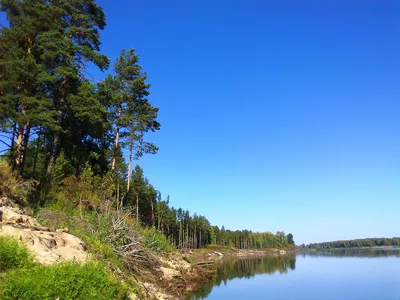 Красивая природа Сибири» — создано в Шедевруме