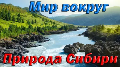 Природа Сибири, живые пейзажы. Подходит для обложек для смартфота или  компьютера. | Природа , новости о природе. | Дзен