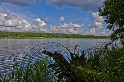 Природа Урала» — создано в Шедевруме