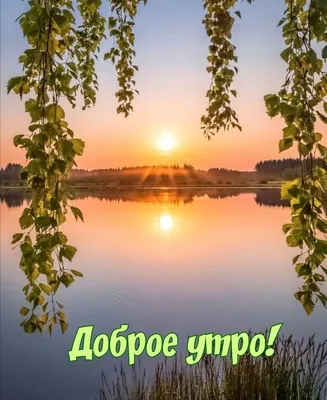 Природа просыпается | Пикабу