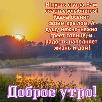 Доброе утро! Безмятежного и счастливого вам дня | Доброе утро, Позитивные  цитаты, Лето