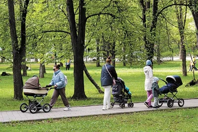 Природа в городе (окружающий мир, 1 класс)