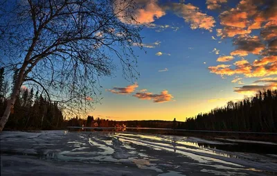 Лес в марте месяце. / Лес в марте месяце. / Фотография на 