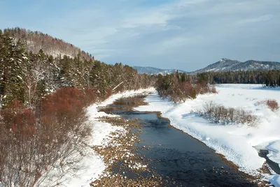 Прогулки в марте / Речка Нерехта