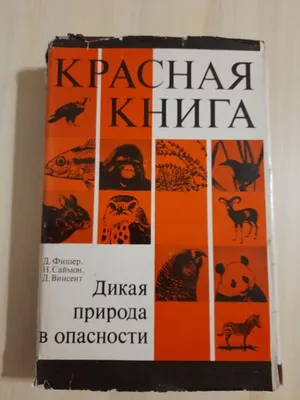 Природа в опасности. Окружающий мир. 3 класс, 1 часть. Учебник А. Плешаков  стр. 29-34 - YouTube