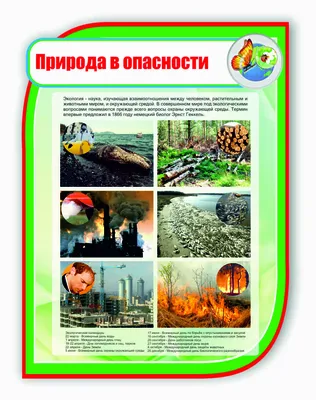 Стенд для школы ПРИРОДА В ОПАСНОСТИ, 0,75*1м