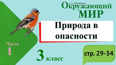 Рисунок сбережем природу - 78 фото