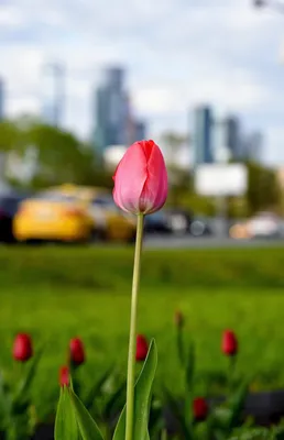 В какое время года лучше менять окна