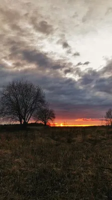 Закат, небо, природа, пейзаж. | Пейзажи, Живописные пейзажи, Закаты