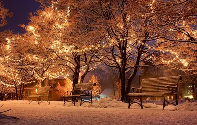 Фотография Новый год зимние Природа Снег Парки Ночь Гирлянда Скамейка  Города Деревья Праздники Рождество Зима Скамья… | Зимние картинки, Фоновые  рисунки, Фотографии