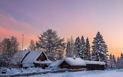 лес :: снег :: фото :: зима :: Природа (красивые фото природы: моря, озера,  леса) / смешные картинки и другие приколы: комиксы, гиф анимация, видео,  лучший интеллектуальный юмор.