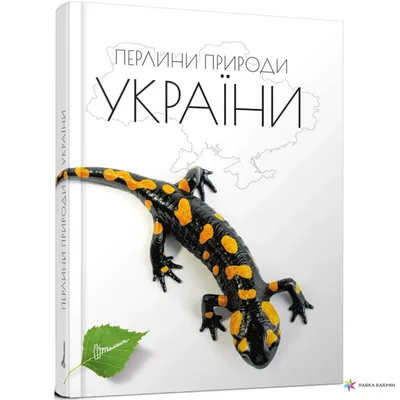 Усе більше людей хочуть жити ближче до природи. У чому перевага і чи є така  можливість в Україні? | Економічна правда