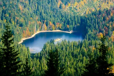 Пам'ятка природи — Вікіпедія