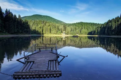 Баланс природи. Національні парки в Україні