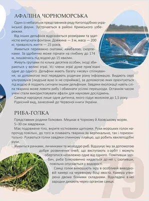 Світлина рівненчанина увійшла в ТОП-10 кращих фото природи України.  Культура. Новини - Новини Рівного. Відео on-line. Все про телекомпанію -  Телеканал «Рівне 1»