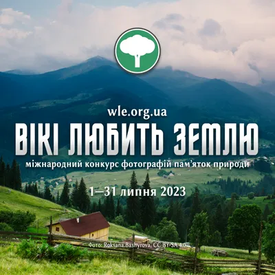 В нашій області помітили рідкісну тварину, не притаманну природі України |  Інформатор Нікополь