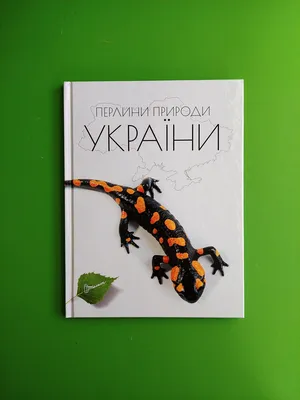 10 переможних фото: конкурс "Вікі любить Землю 2021" обрав найкращі  світлини природи України - МЕТА