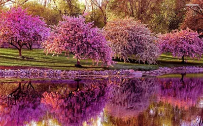 Весна природа - фото и картинки: 54 штук