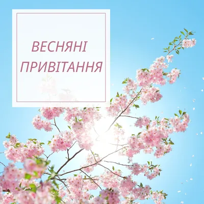 Зі святом весни, чарівності, краси та жіночності! – Управління інспекційної  діяльності у Тернопільській області Південно-Західного міжрегіонального  управління Державної служби з питань праці