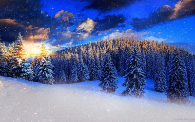 25 атмосферних фото української зими, що минає (фото)